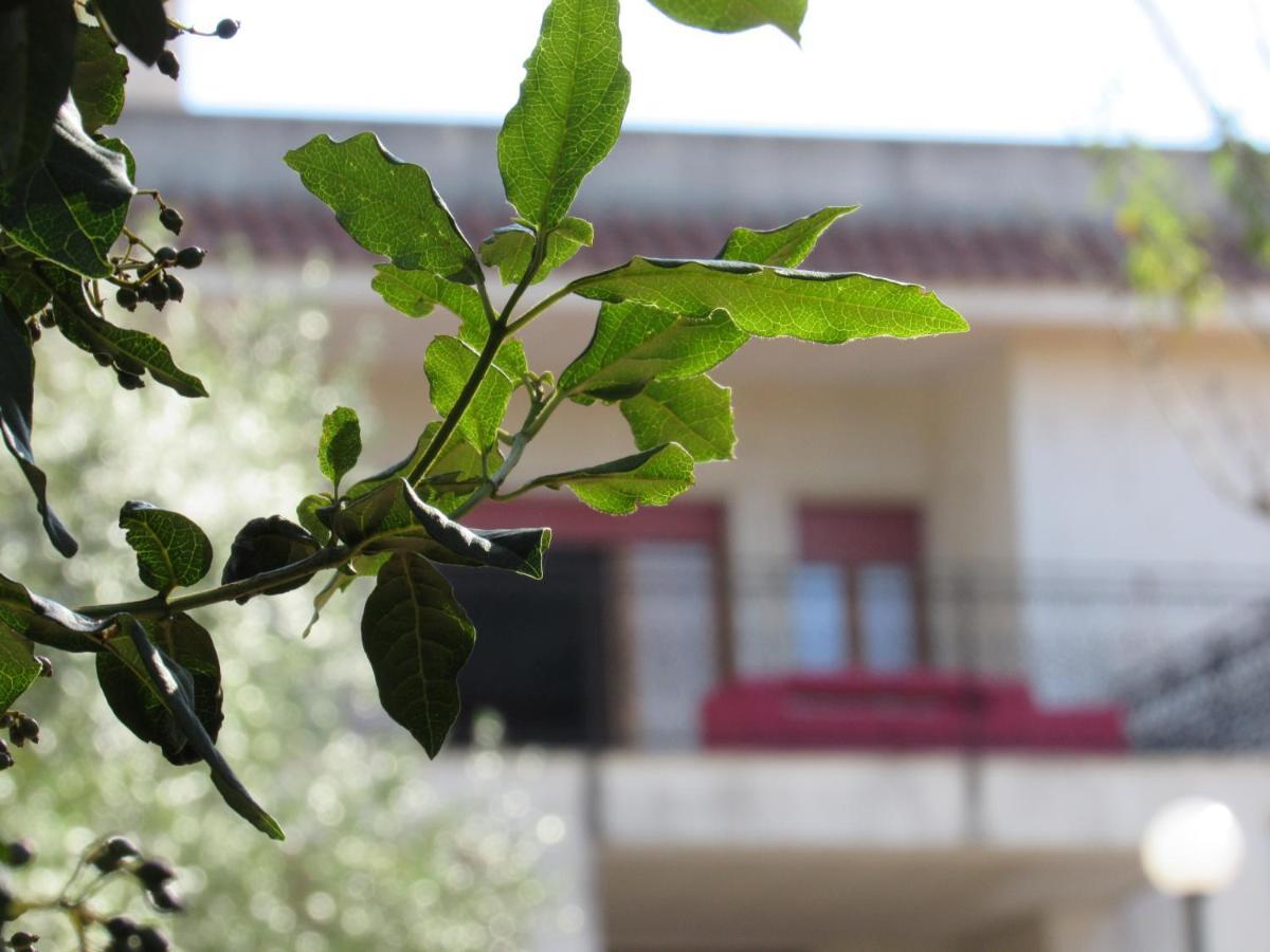 Casa Il Giovane Alloro Martina Franca Eksteriør bilde